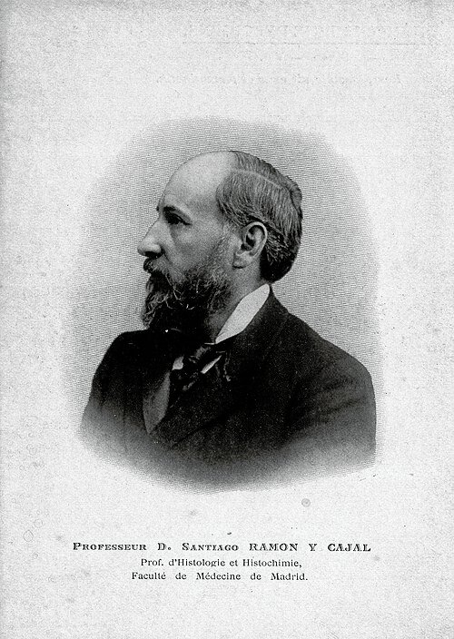 d. santiago ramon y cajal
